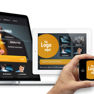Diseño Web